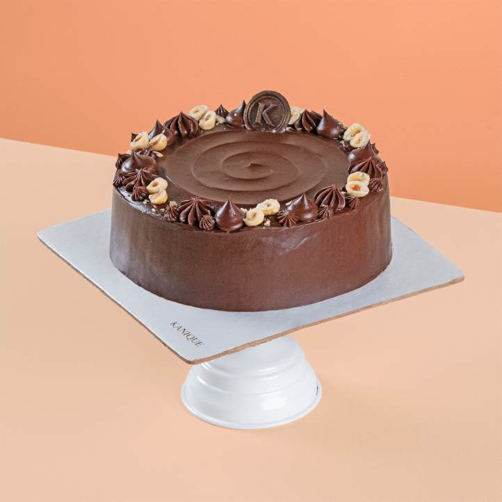 Chocolate and Hazelnut Praline